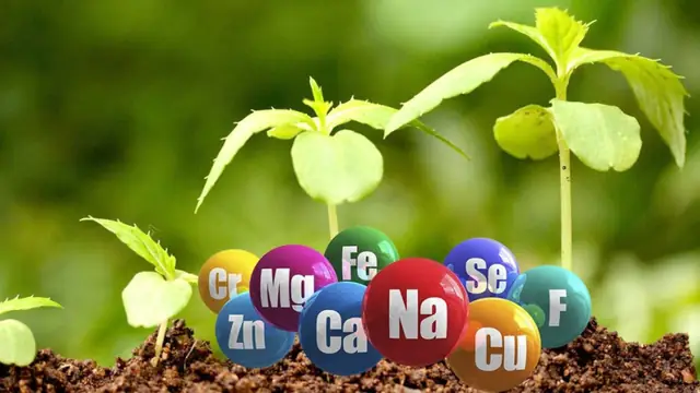Категория Микроэлементы